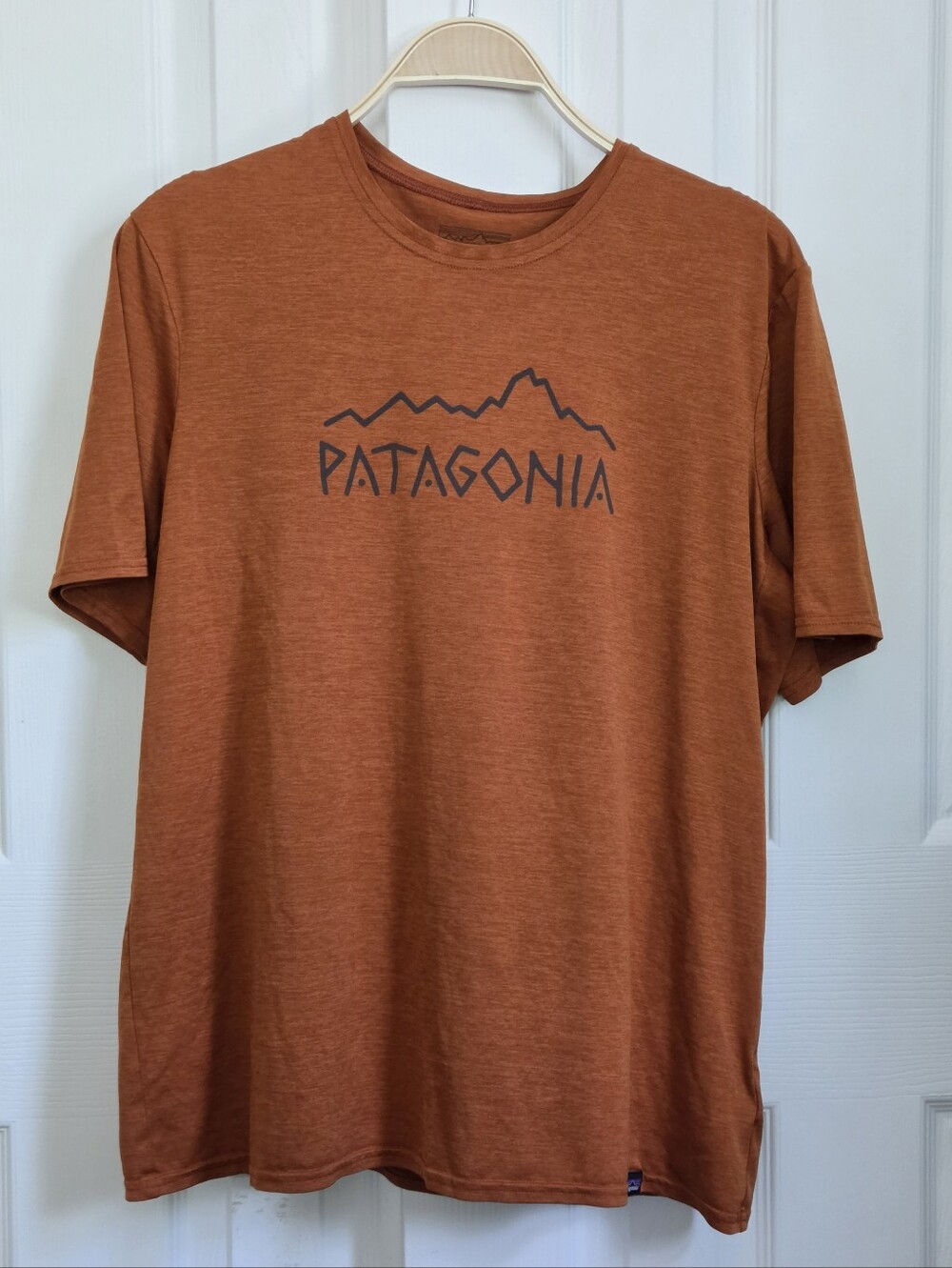 Patagonia Men's Rust Short-Sleeve Capilene Daily Graphic Hiking T-Shirt, XL